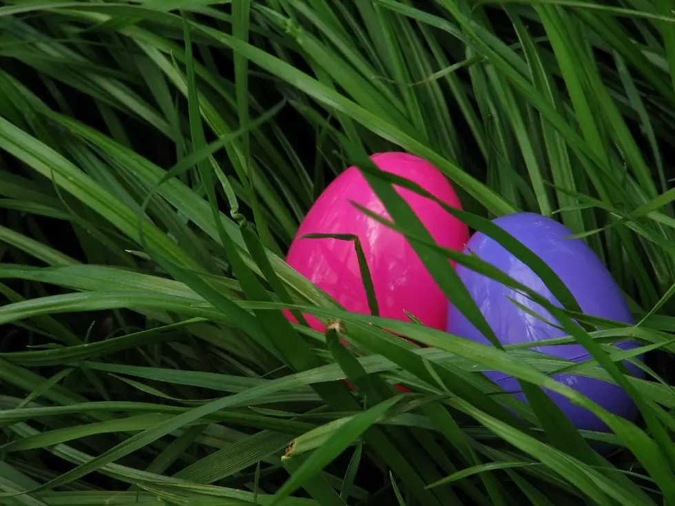 City Wide Easter Egg Hunt A Hoppin’ Good Time for the Kids