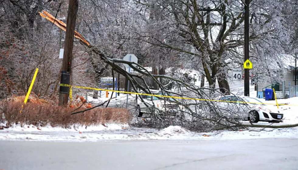 Fallen Limbs And Debris In Amarillo: Here’s What To Do