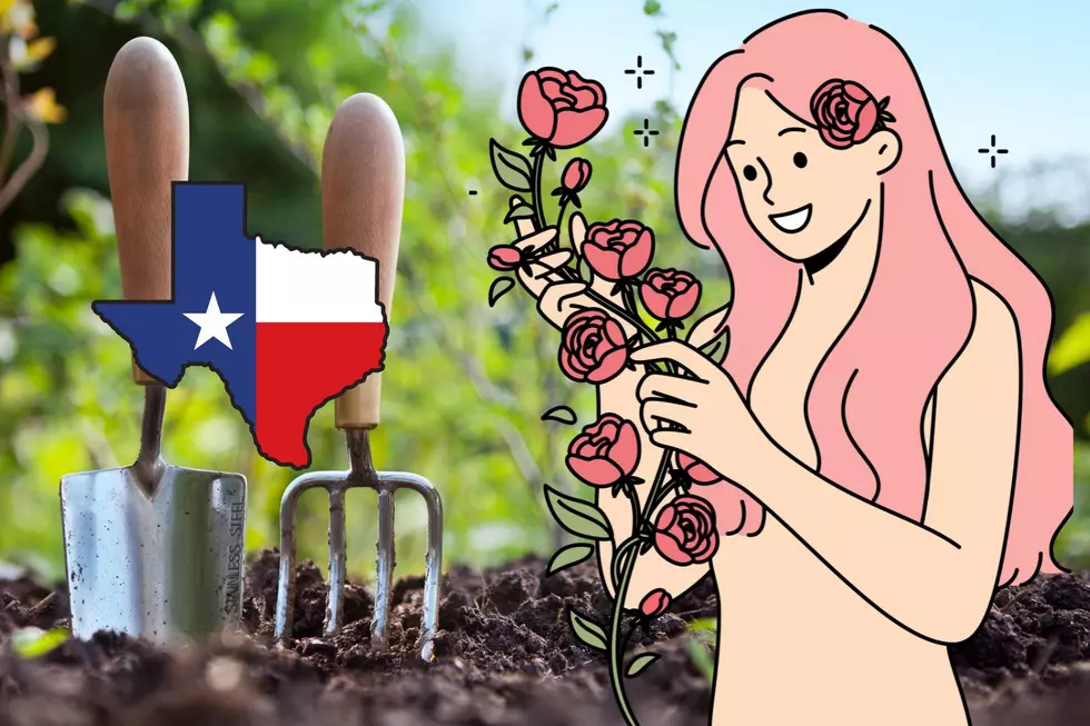 Texas is One of the Best Places to Get Naked With Plants
