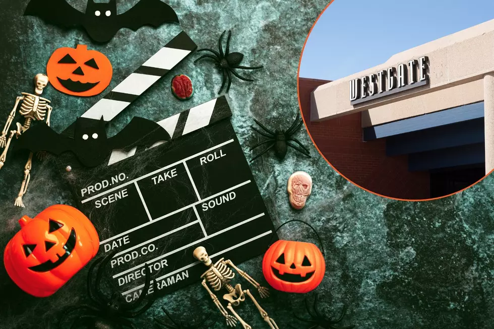 Catch Free Halloween Movies at Scene One Inside Westgate Mall – Perfect for a Spooky Family Outing!
