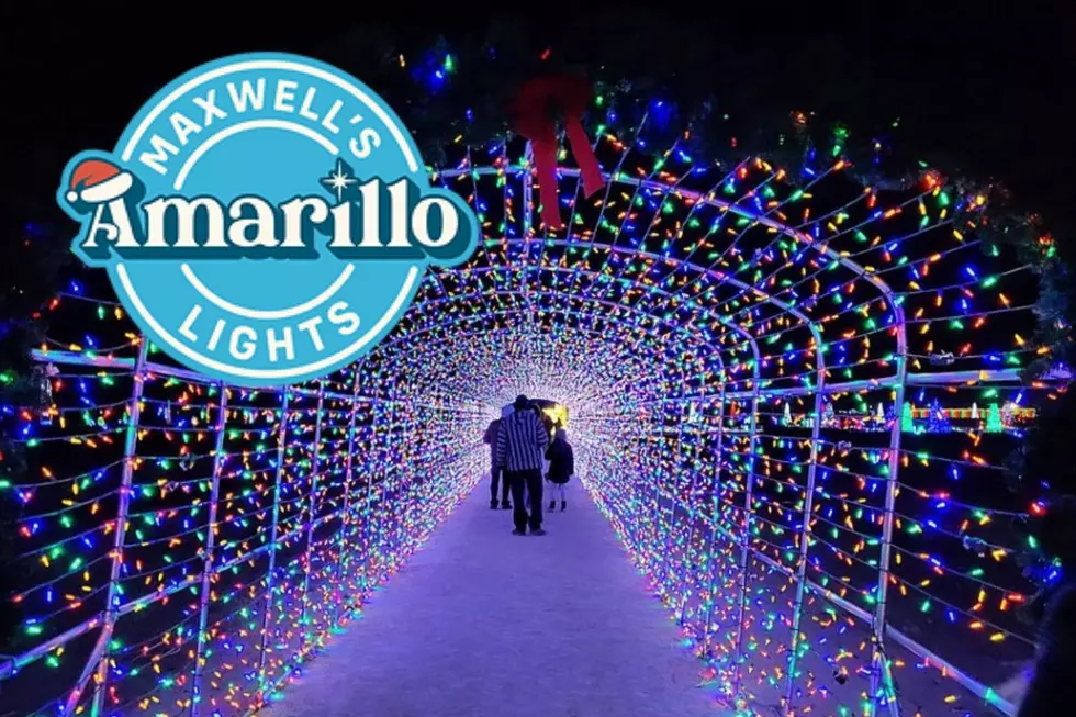 Enter to Win a Magical Night of Family Fun at Maxwell’s Magical Christmas!