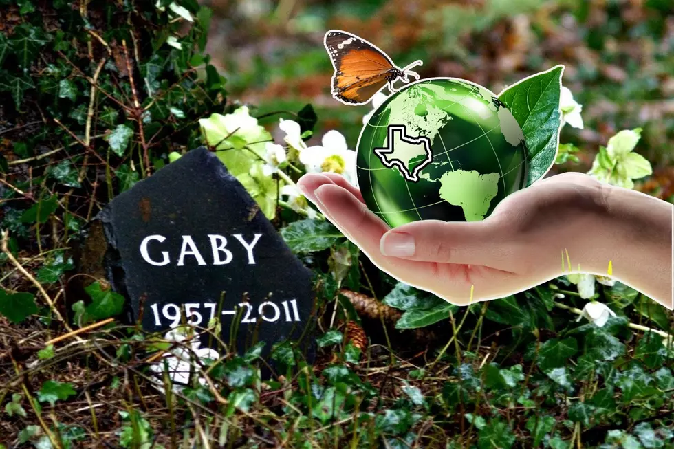 Revealing the Dos + Don’ts of Eco-Friendly Green Burials in Texas
