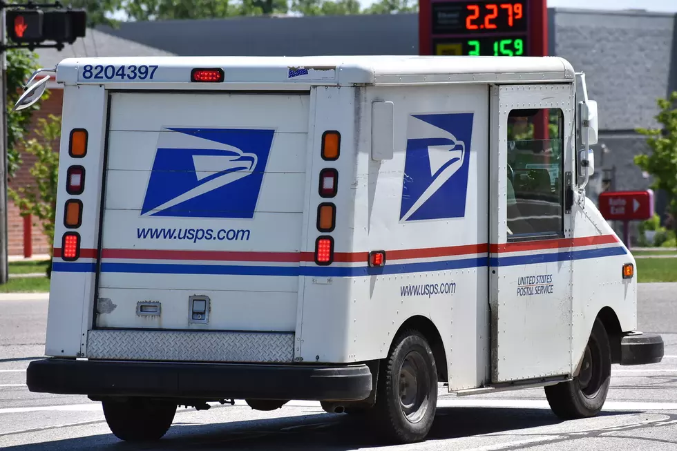 What USPS Wants You to Know About Dogs and Mail Delivery