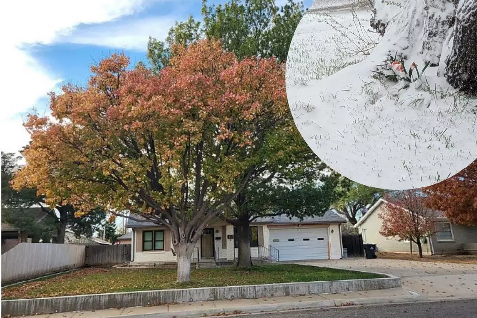 Your Guide to Amarillo’s Fall Weather and Snow Forecast