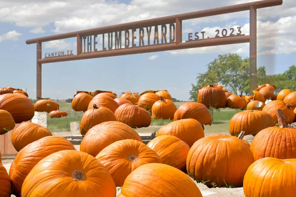 Launch Your Pumpkin Patch at The Lumberyard in Canyon This Season