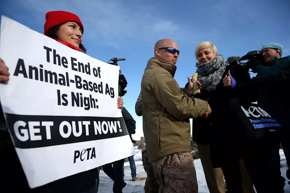 After Dog Attack, PETA Pledges $5,000 to Amarillo FFA With Conditions