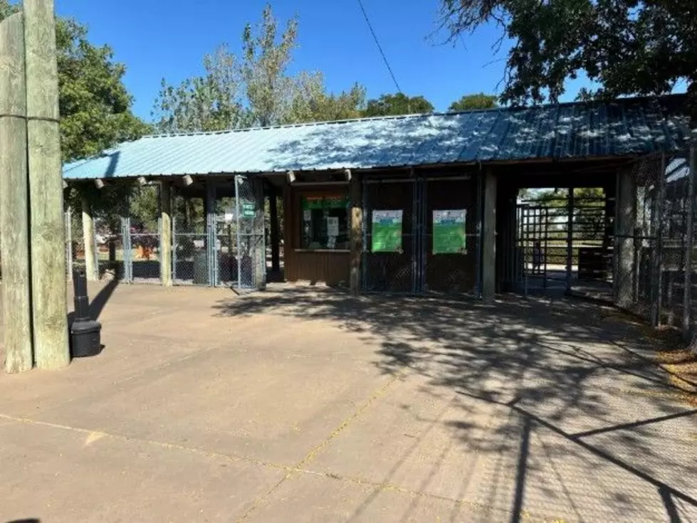 Amarillo City Council Approves Big Plan for Amarillo Zoo