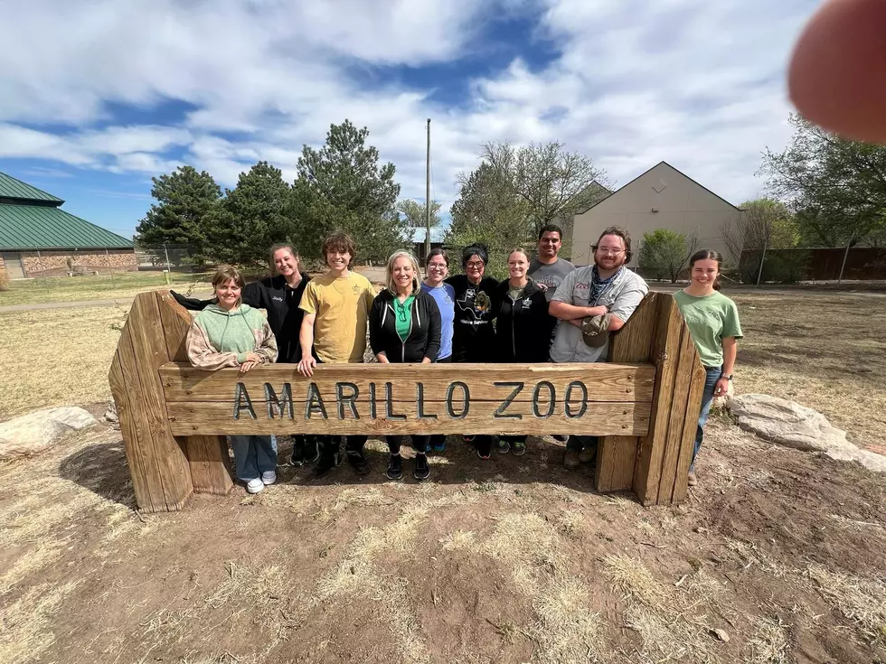 Here’s How You Can Help the New Amarillo Zoo & Sanctuary