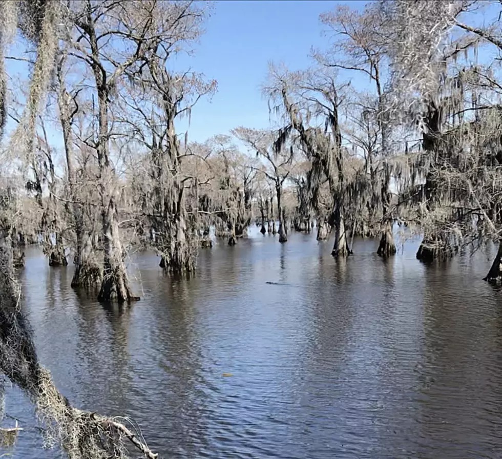 Civil War Steamer Mittie Stephens May Be the Mystery at the Bottom of Caddo Lake near Shreveport